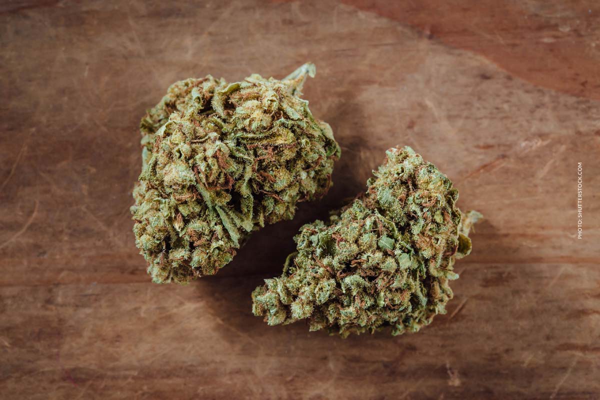 Cannabis bei Neuropathie: Schmerzen, Behandlung & Erfahrung