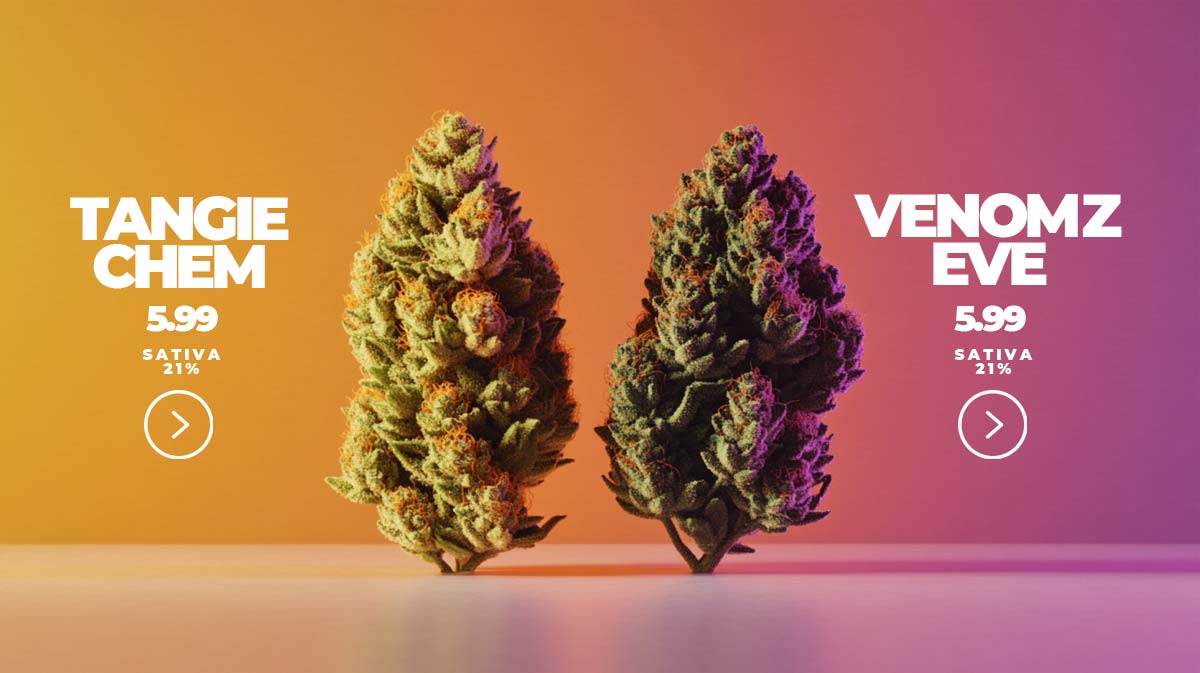 Cannabisblüten: Buds, Pflanze, THC, Rezept, kaufen & online bestellen