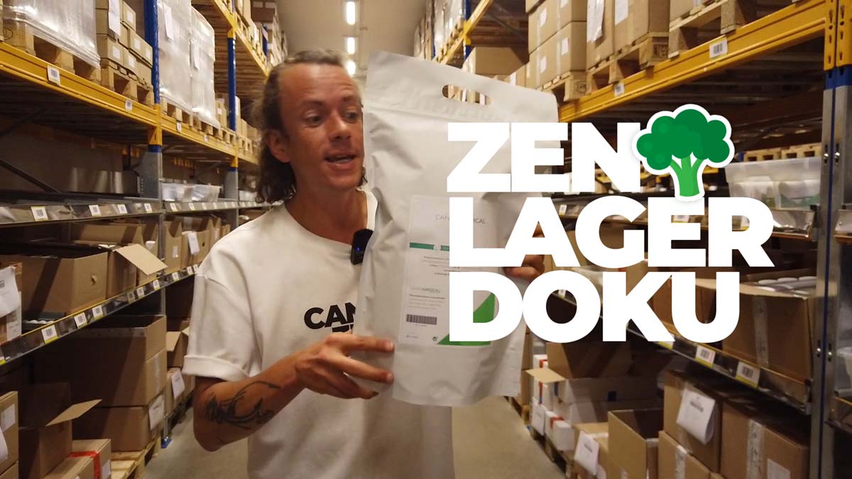 Kinofilm kostenlos streamen: Weed, Cannabis & Kifferfilme