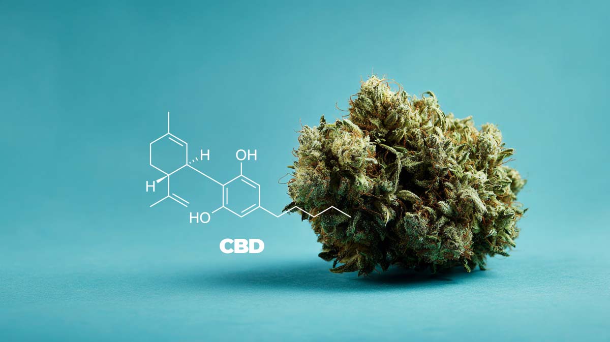 Hyperion: Sorte, Wirkung, Aroma & THC Anteil